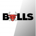 Bulls Likit Kampanya